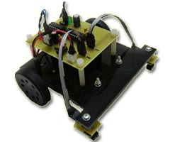 izgiler Aras Hareket Eden Robot